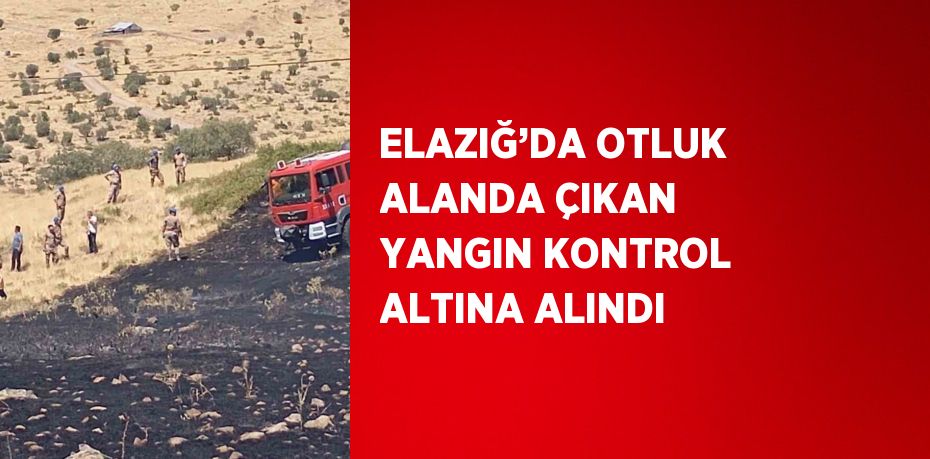 ELAZIĞ’DA OTLUK ALANDA ÇIKAN YANGIN KONTROL ALTINA ALINDI