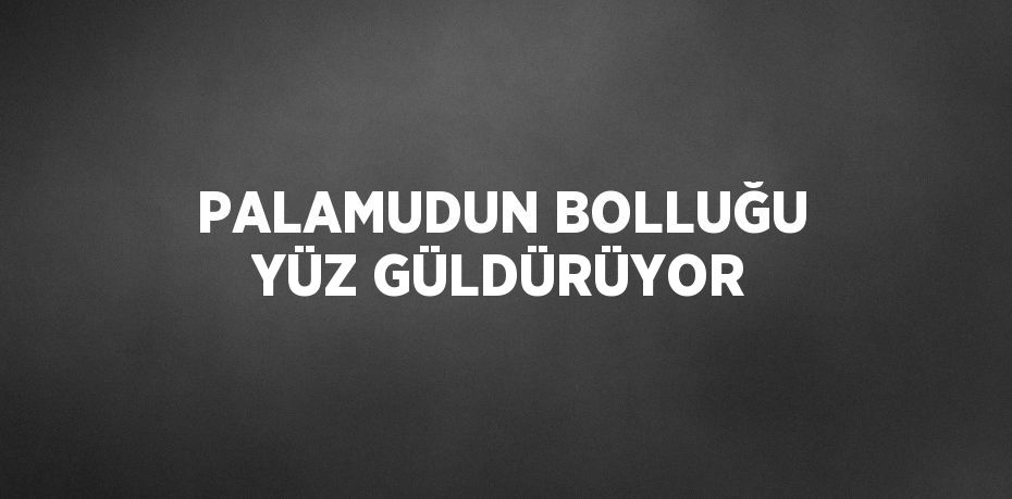 PALAMUDUN BOLLUĞU YÜZ GÜLDÜRÜYOR