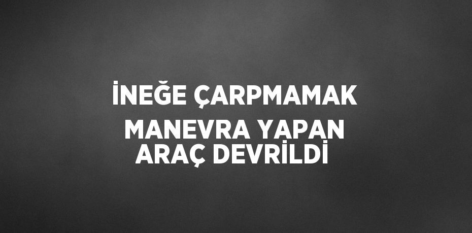 İNEĞE ÇARPMAMAK MANEVRA YAPAN ARAÇ DEVRİLDİ