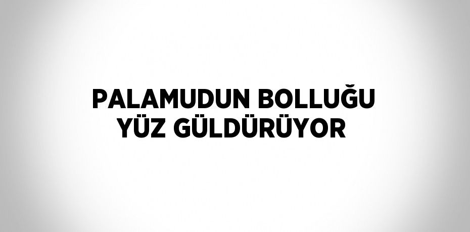 PALAMUDUN BOLLUĞU YÜZ GÜLDÜRÜYOR