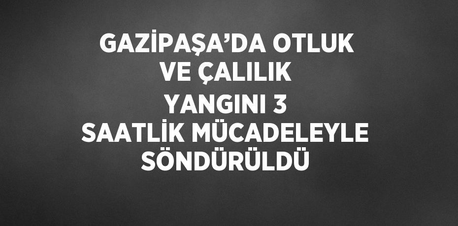 GAZİPAŞA’DA OTLUK VE ÇALILIK YANGINI 3 SAATLİK MÜCADELEYLE SÖNDÜRÜLDÜ