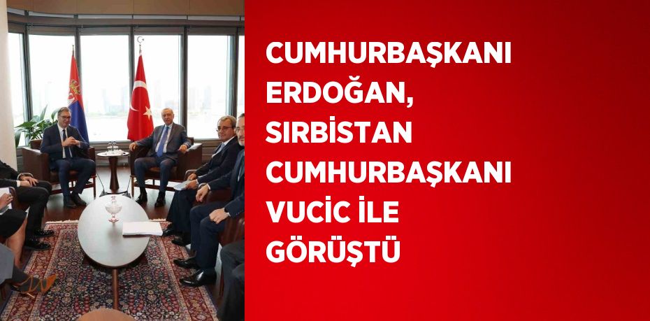 CUMHURBAŞKANI ERDOĞAN, SIRBİSTAN CUMHURBAŞKANI VUCİC İLE GÖRÜŞTÜ