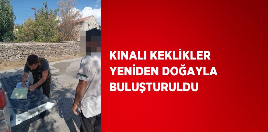 KINALI KEKLİKLER YENİDEN DOĞAYLA BULUŞTURULDU