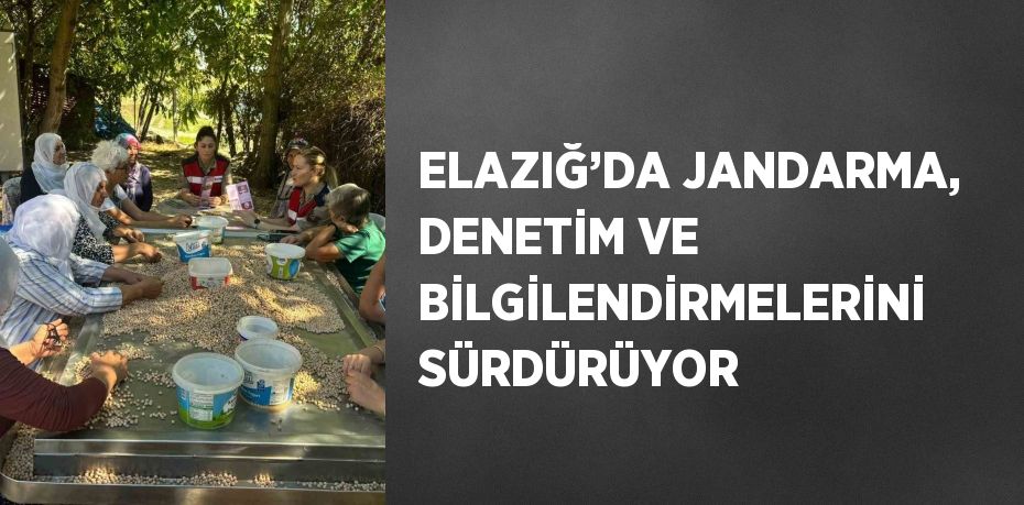 ELAZIĞ’DA JANDARMA, DENETİM VE BİLGİLENDİRMELERİNİ SÜRDÜRÜYOR