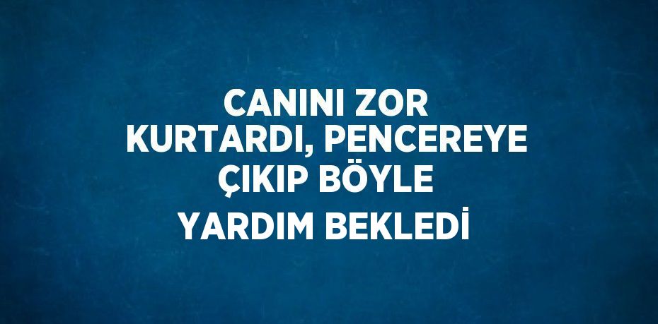 CANINI ZOR KURTARDI, PENCEREYE ÇIKIP BÖYLE YARDIM BEKLEDİ