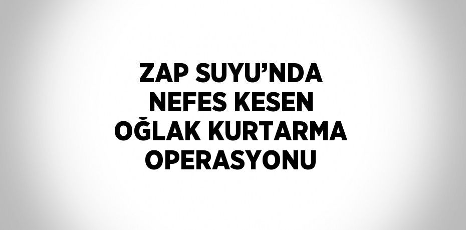 ZAP SUYU’NDA NEFES KESEN OĞLAK KURTARMA OPERASYONU