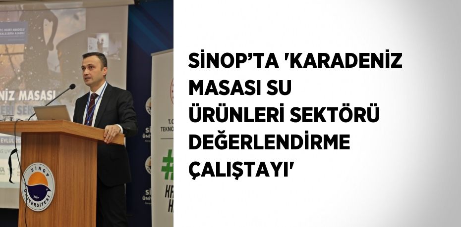 SİNOP’TA 'KARADENİZ MASASI SU ÜRÜNLERİ SEKTÖRÜ DEĞERLENDİRME ÇALIŞTAYI'