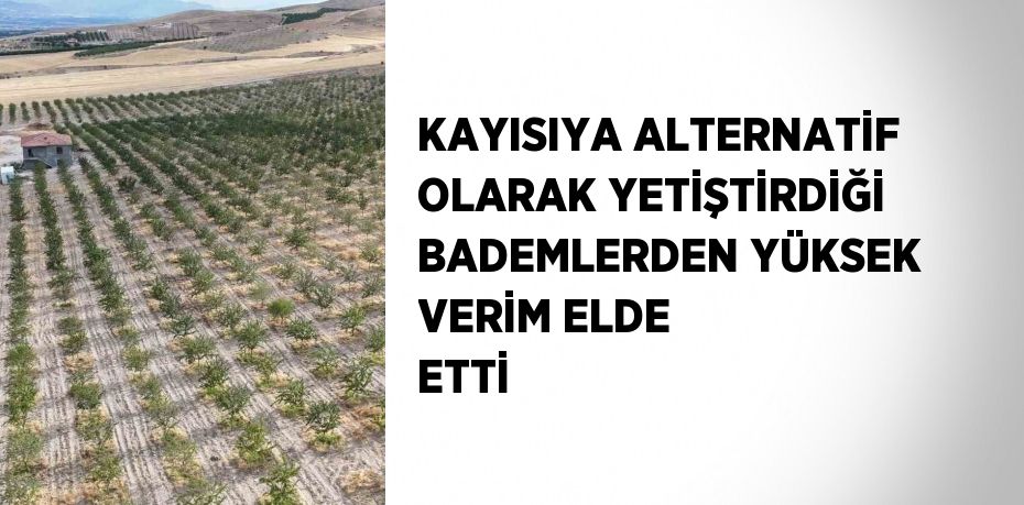 KAYISIYA ALTERNATİF OLARAK YETİŞTİRDİĞİ BADEMLERDEN YÜKSEK VERİM ELDE ETTİ