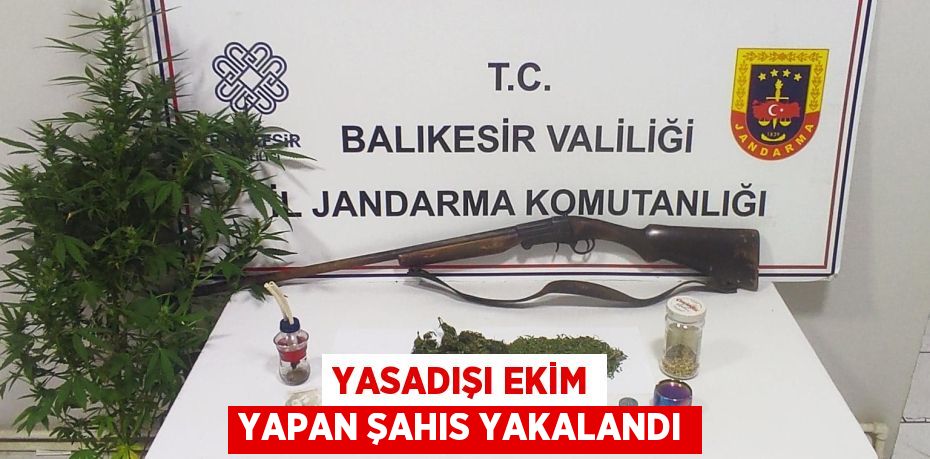 YASADIŞI EKİM YAPAN ŞAHIS YAKALANDI