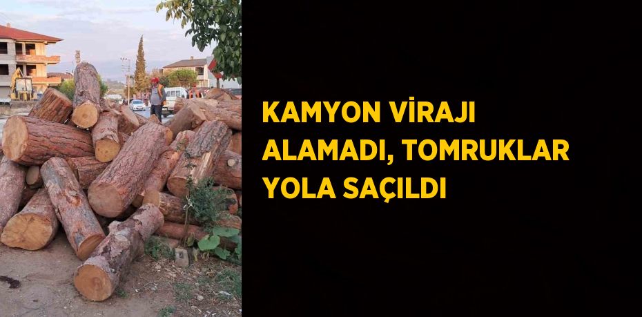 KAMYON VİRAJI ALAMADI, TOMRUKLAR YOLA SAÇILDI