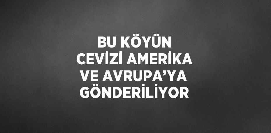 BU KÖYÜN CEVİZİ AMERİKA VE AVRUPA’YA GÖNDERİLİYOR