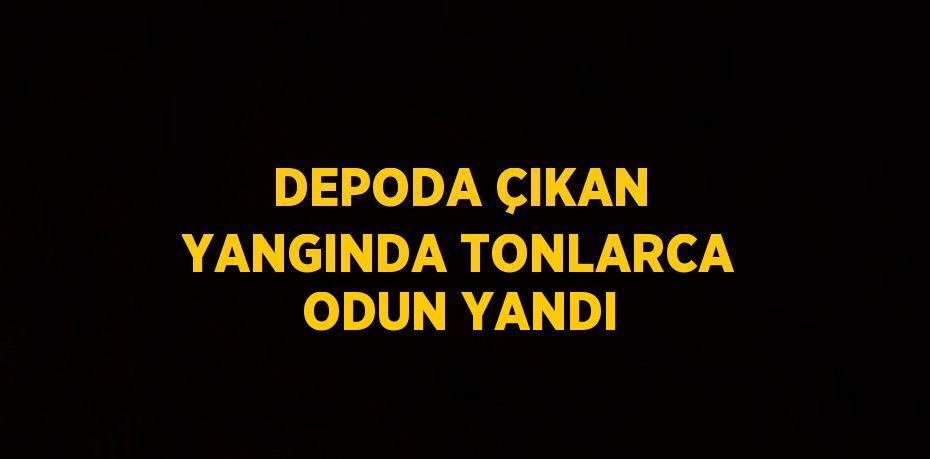 DEPODA ÇIKAN YANGINDA TONLARCA ODUN YANDI