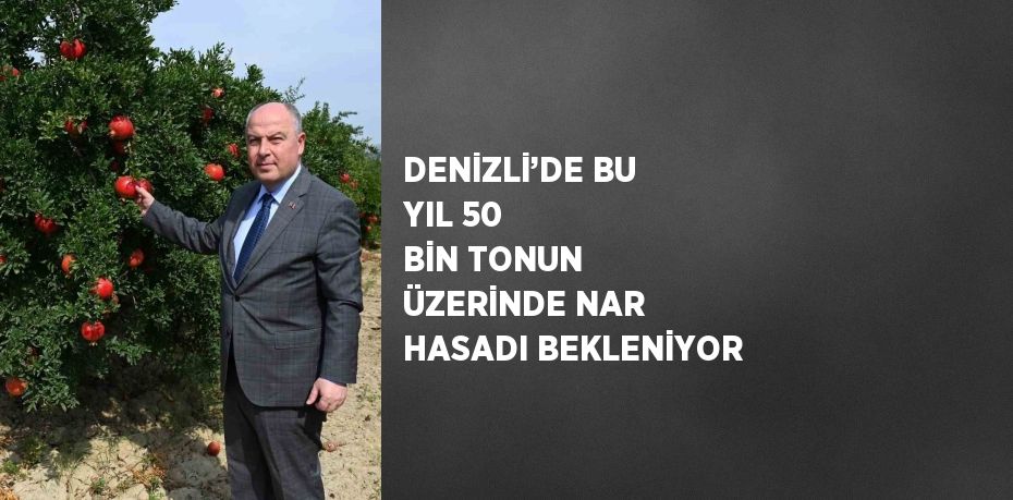 DENİZLİ’DE BU YIL 50 BİN TONUN ÜZERİNDE NAR HASADI BEKLENİYOR