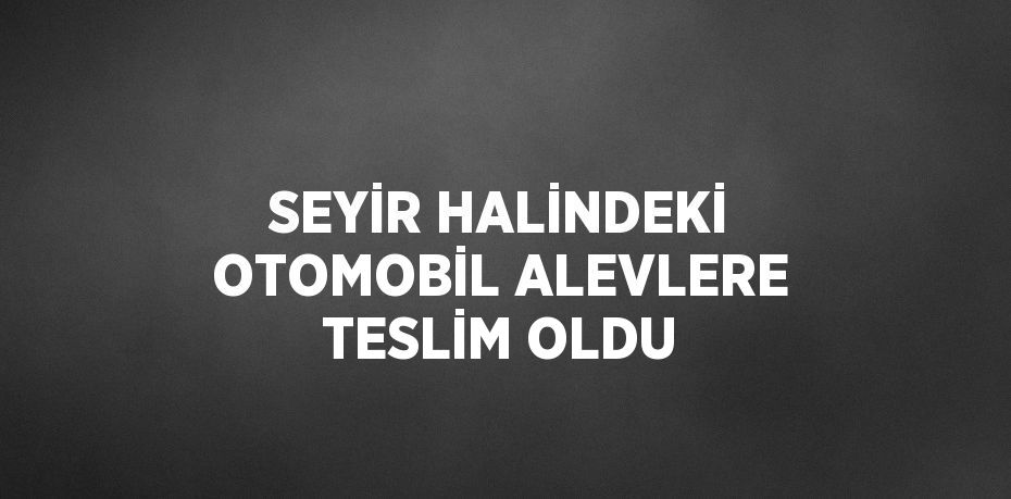 SEYİR HALİNDEKİ OTOMOBİL ALEVLERE TESLİM OLDU