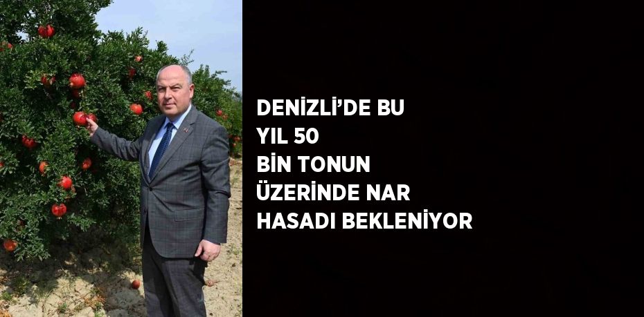 DENİZLİ’DE BU YIL 50 BİN TONUN ÜZERİNDE NAR HASADI BEKLENİYOR