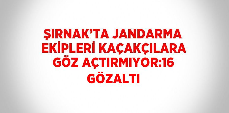 ŞIRNAK’TA JANDARMA EKİPLERİ KAÇAKÇILARA GÖZ AÇTIRMIYOR:16 GÖZALTI