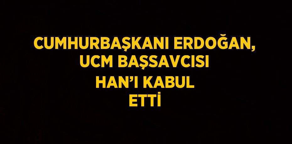 CUMHURBAŞKANI ERDOĞAN, UCM BAŞSAVCISI HAN’I KABUL ETTİ