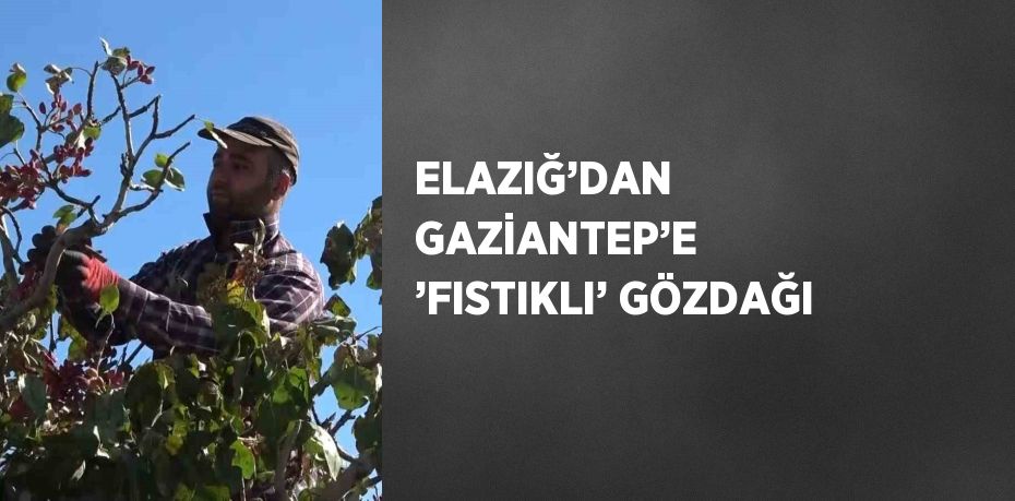 ELAZIĞ’DAN GAZİANTEP’E ’FISTIKLI’ GÖZDAĞI