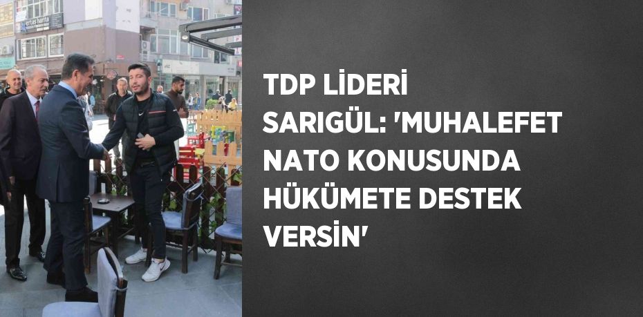 TDP LİDERİ SARIGÜL: 'MUHALEFET NATO KONUSUNDA HÜKÜMETE DESTEK VERSİN'