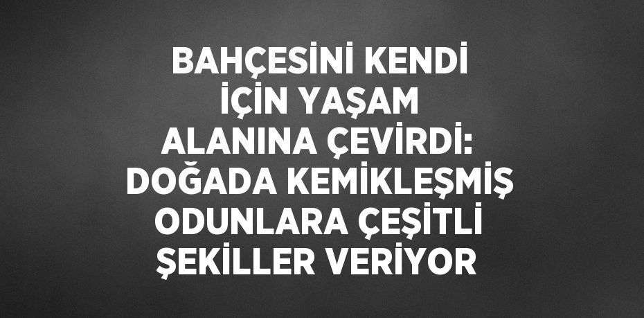 BAHÇESİNİ KENDİ İÇİN YAŞAM ALANINA ÇEVİRDİ: DOĞADA KEMİKLEŞMİŞ ODUNLARA ÇEŞİTLİ ŞEKİLLER VERİYOR