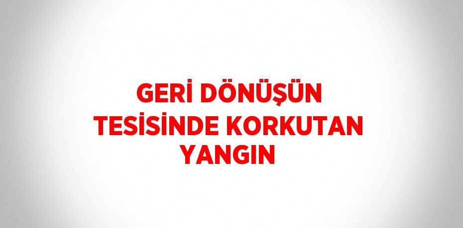 GERİ DÖNÜŞÜN TESİSİNDE KORKUTAN YANGIN