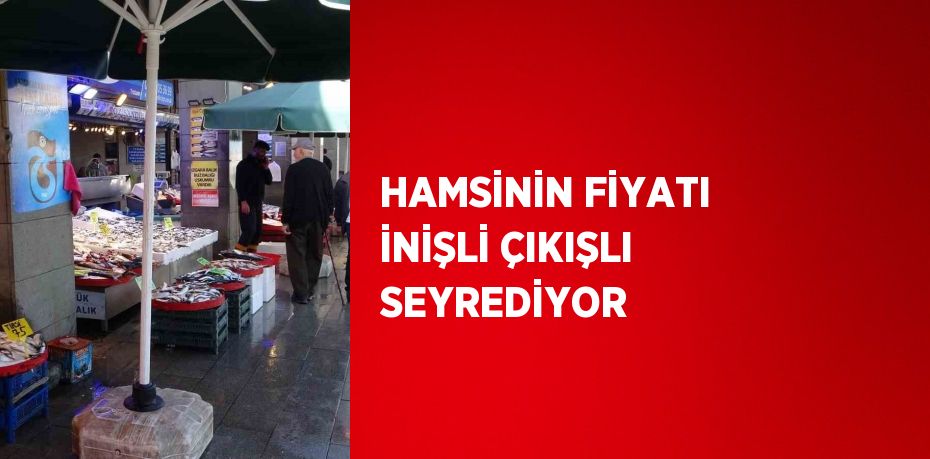 HAMSİNİN FİYATI İNİŞLİ ÇIKIŞLI SEYREDİYOR
