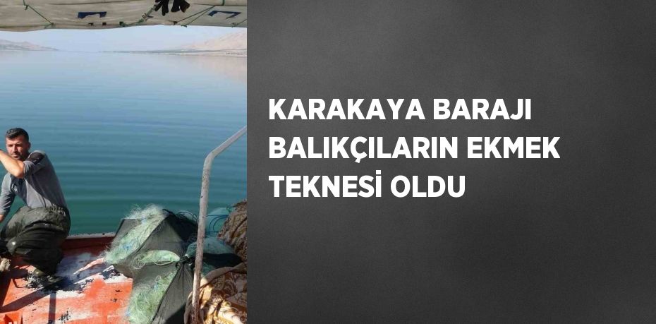 KARAKAYA BARAJI BALIKÇILARIN EKMEK TEKNESİ OLDU