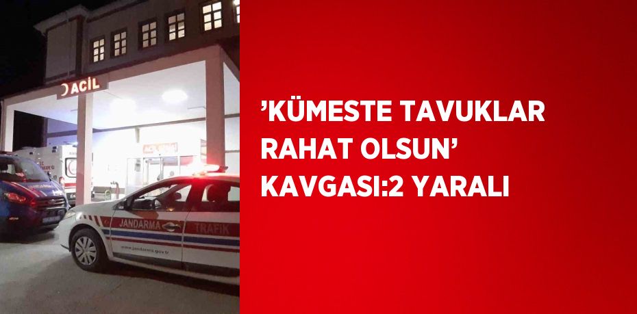 ’KÜMESTE TAVUKLAR RAHAT OLSUN’ KAVGASI:2 YARALI