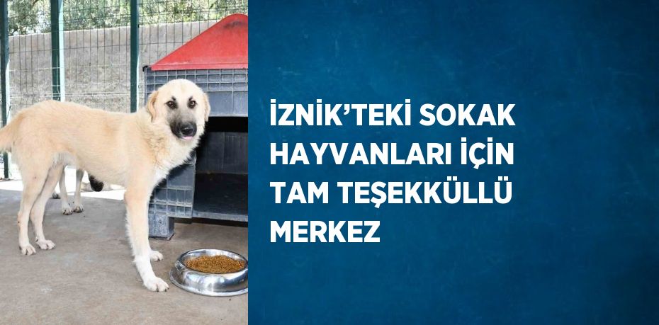 İZNİK’TEKİ SOKAK HAYVANLARI İÇİN TAM TEŞEKKÜLLÜ MERKEZ