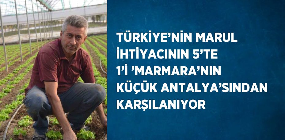 TÜRKİYE’NİN MARUL İHTİYACININ 5’TE 1’İ ’MARMARA’NIN KÜÇÜK ANTALYA’SINDAN KARŞILANIYOR