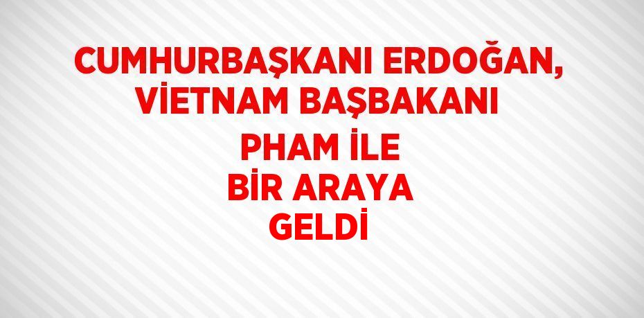 CUMHURBAŞKANI ERDOĞAN, VİETNAM BAŞBAKANI PHAM İLE BİR ARAYA GELDİ