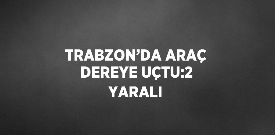 TRABZON’DA ARAÇ DEREYE UÇTU:2 YARALI