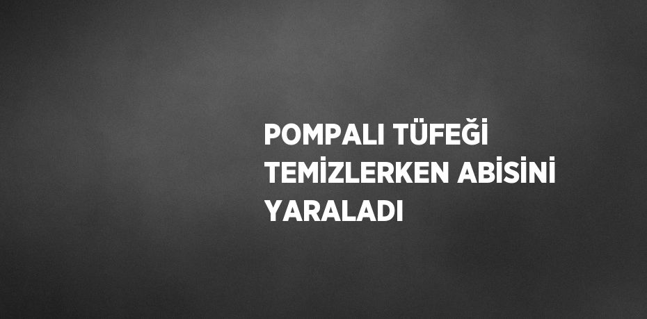 POMPALI TÜFEĞİ TEMİZLERKEN ABİSİNİ YARALADI