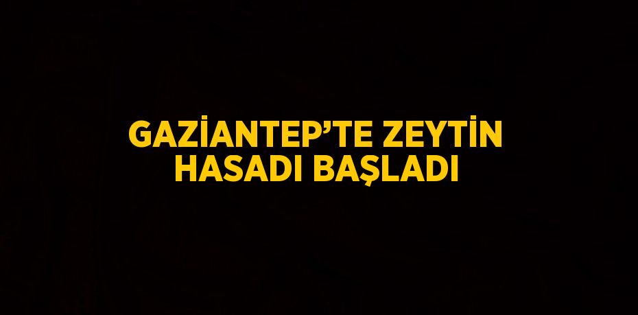 GAZİANTEP’TE ZEYTİN HASADI BAŞLADI