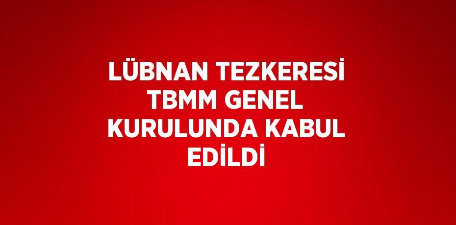 LÜBNAN TEZKERESİ TBMM GENEL KURULUNDA KABUL EDİLDİ