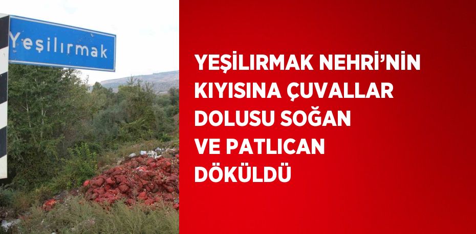 YEŞİLIRMAK NEHRİ’NİN KIYISINA ÇUVALLAR DOLUSU SOĞAN VE PATLICAN DÖKÜLDÜ