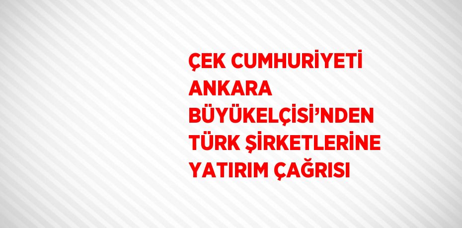 ÇEK CUMHURİYETİ ANKARA BÜYÜKELÇİSİ’NDEN TÜRK ŞİRKETLERİNE YATIRIM ÇAĞRISI