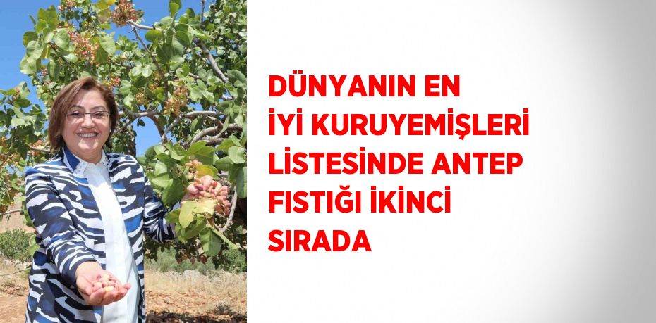 DÜNYANIN EN İYİ KURUYEMİŞLERİ LİSTESİNDE ANTEP FISTIĞI İKİNCİ SIRADA