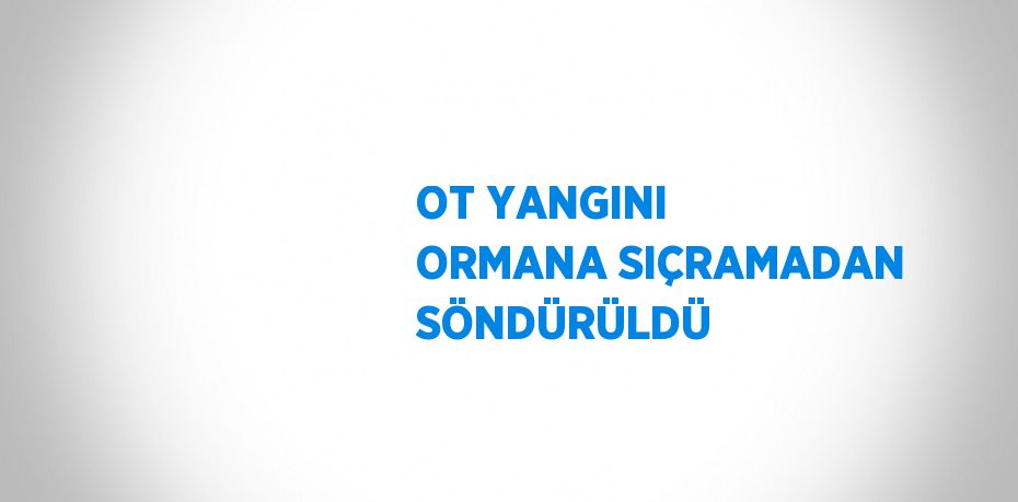 OT YANGINI ORMANA SIÇRAMADAN SÖNDÜRÜLDÜ