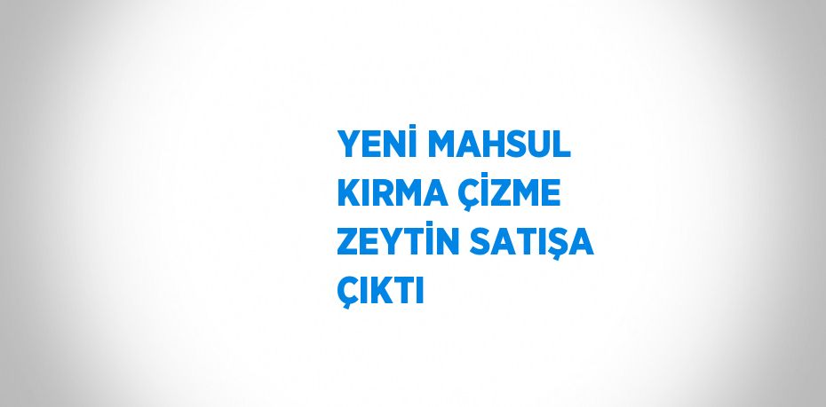 YENİ MAHSUL KIRMA ÇİZME ZEYTİN SATIŞA ÇIKTI