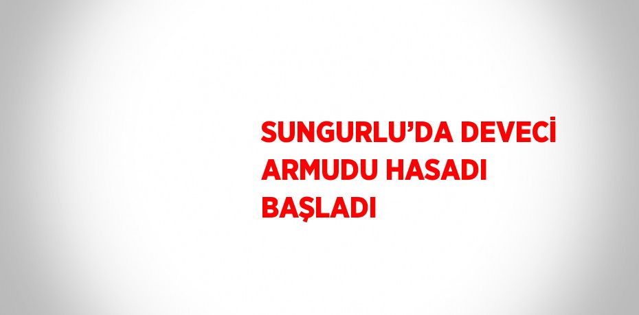 SUNGURLU’DA DEVECİ ARMUDU HASADI BAŞLADI