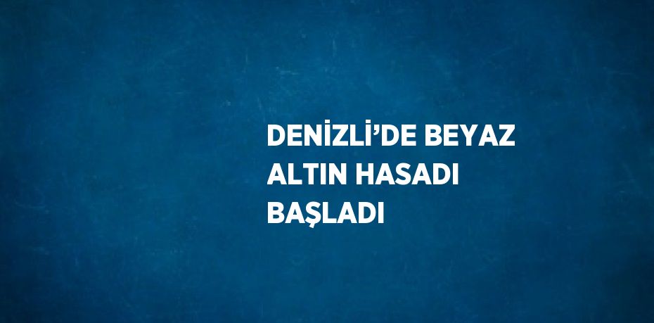 DENİZLİ’DE BEYAZ ALTIN HASADI BAŞLADI