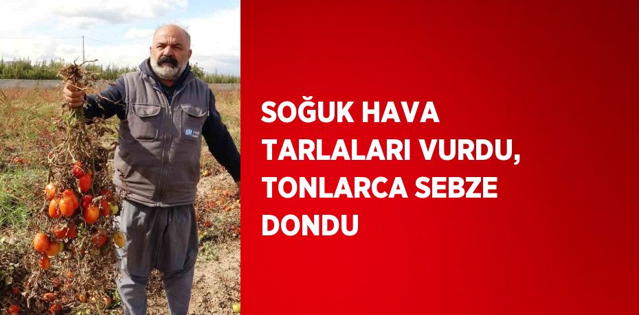 SOĞUK HAVA TARLALARI VURDU, TONLARCA SEBZE DONDU