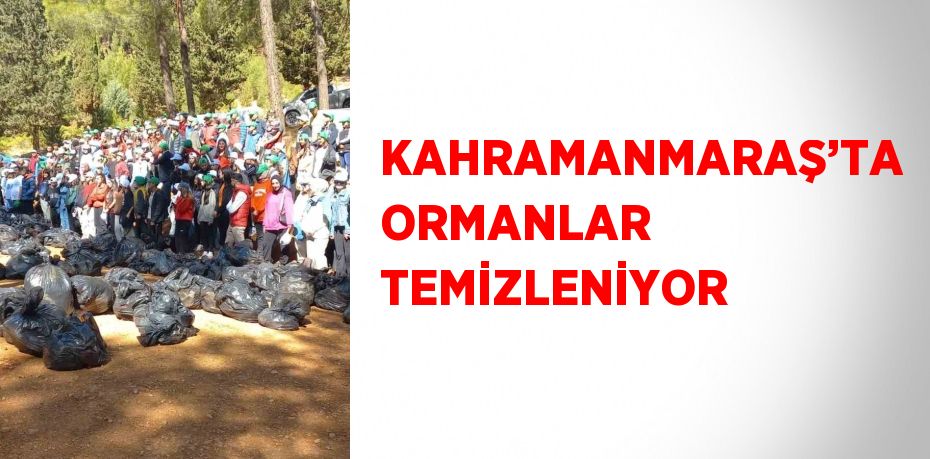 KAHRAMANMARAŞ’TA ORMANLAR TEMİZLENİYOR