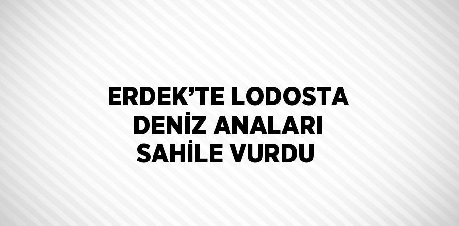 ERDEK’TE LODOSTA DENİZ ANALARI SAHİLE VURDU