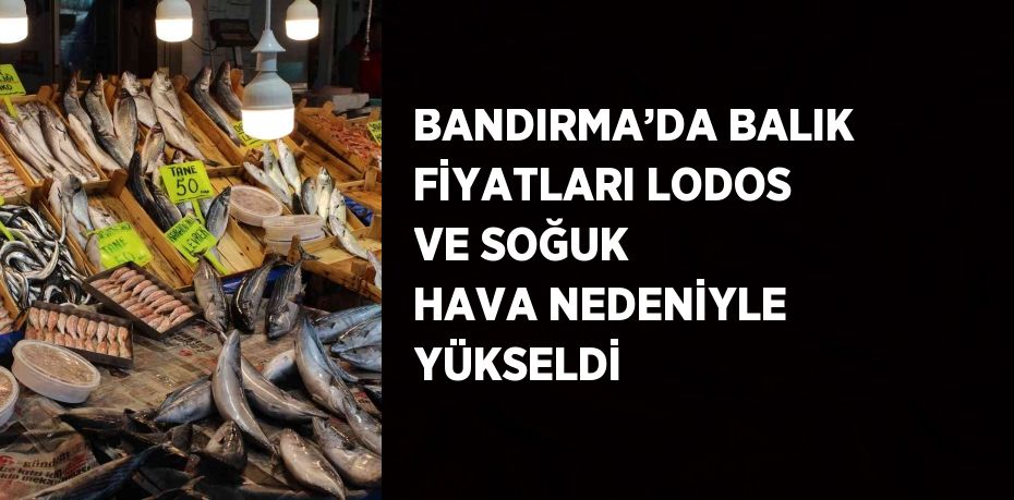 BANDIRMA’DA BALIK FİYATLARI LODOS VE SOĞUK HAVA NEDENİYLE YÜKSELDİ