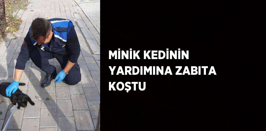 MİNİK KEDİNİN YARDIMINA ZABITA KOŞTU