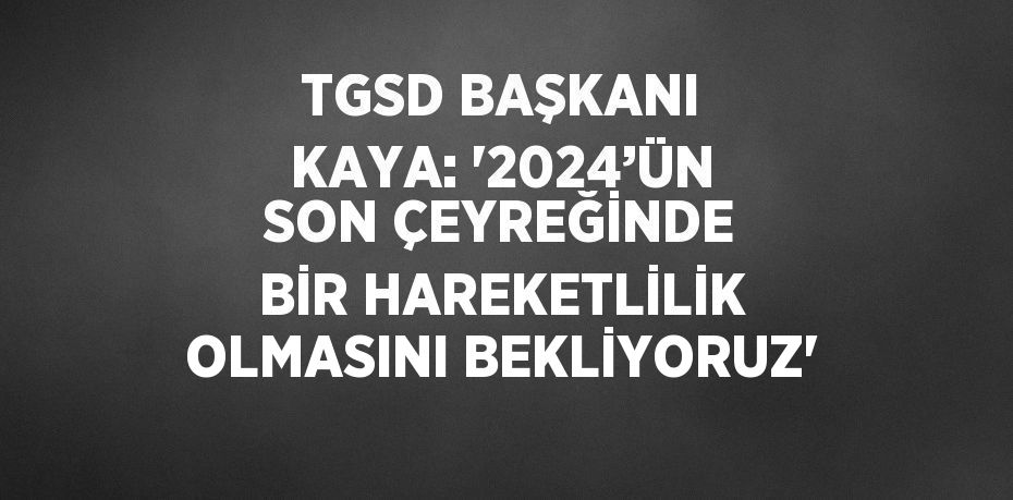 TGSD BAŞKANI KAYA: '2024’ÜN SON ÇEYREĞİNDE BİR HAREKETLİLİK OLMASINI BEKLİYORUZ'