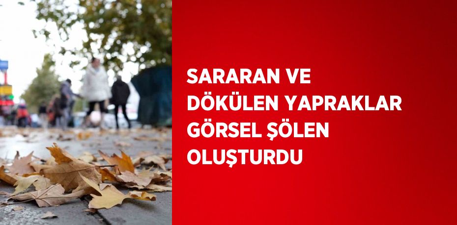 SARARAN VE DÖKÜLEN YAPRAKLAR GÖRSEL ŞÖLEN OLUŞTURDU