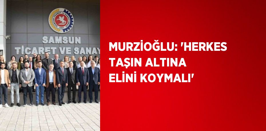 MURZİOĞLU: 'HERKES TAŞIN ALTINA ELİNİ KOYMALI'